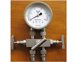 徐州差压表带三阀组